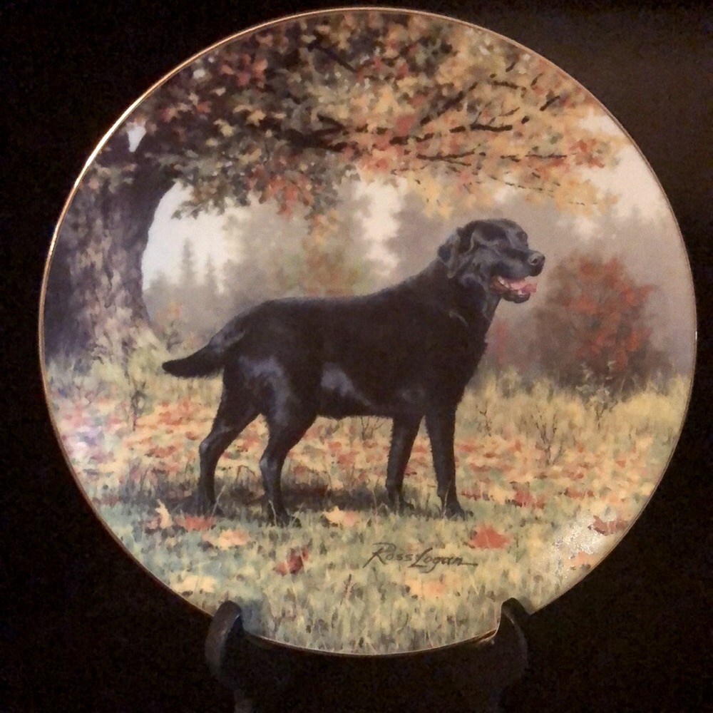 2for$20🟠Collectible Plate- Black Lab